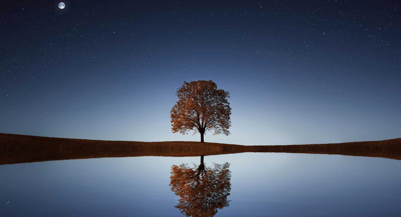 Expansion of Consciousness